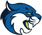 Bryant & Stratton College - Syracuse logo